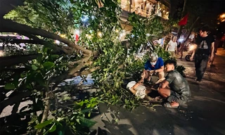 Cây đa bất ngờ gãy đổ ngang đường, một người bị thương