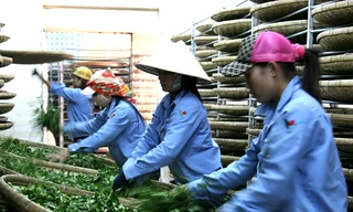 Doanh nghiệp FDI: Vẫn chuyển giá, trốn thuế