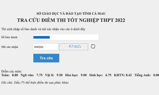 Bộ GD&ĐT yêu cầu báo cáo việc nam sinh trường chuyên ngủ quên trong giờ thi Tiếng Anh