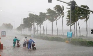 Năm nay khả năng có nhiều cơn bão mạnh, trái quy luật