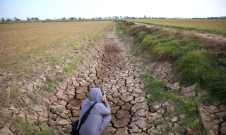Bộ TN&MT kêu gọi phục hồi đất, chống sa mạc hoá