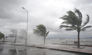 Xuất hiện vùng áp thấp ngoài khơi Philippines, Biển Đông có thể đón bão