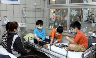 Vụ hàng chục học sinh tiểu học ngộ độc khi đi dã ngoại: Xử lý thế nào?