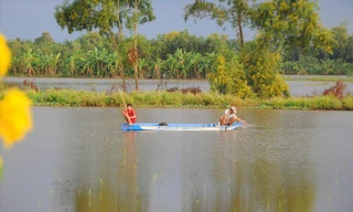 Bộ TN&MT đề nghị tăng cường ứng dụng AI trong cảnh báo sớm thiên tai