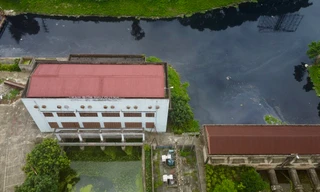 Công bố 9 dự án trọng điểm phục hồi môi trường