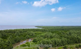 Việt Nam phấn đấu có hệ thống khu bảo tồn rộng 6,7 triệu ha