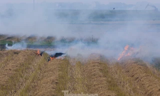 Hà Nội hỗ trợ vài chục tỷ bảo vệ môi trường trong sản xuất nông nghiệp