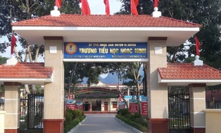 Học sinh lớp 2 bị thầy giáo đánh vì không viết được chính tả