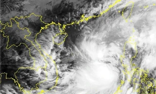Tin mới nhất về bão số 7
