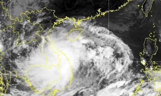 Áp thấp nhiệt đới mạnh lên thành bão, từ chiều nay gió giật mạnh trên đất liền