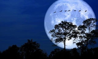 Sắp có siêu trăng rất đẹp