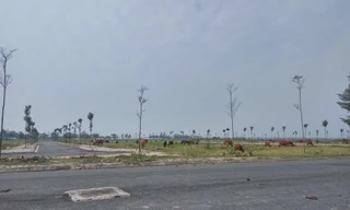 Lấy ý kiến nhân dân về dự thảo Luật Đất đai sửa đổi