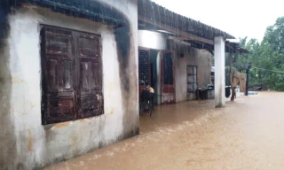 Bão số 1 đặc biệt, bất thường và cực đoan