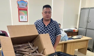 Buôn bán sừng linh dương, hai người bị phạt hơn 4 năm tù