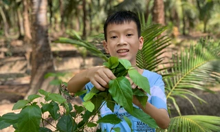 Học sinh Việt Nam giành giải 3 viết thư quốc tế UPU