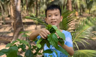 Học sinh Việt Nam giành giải 3 viết thư quốc tế UPU