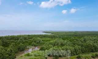 Chủ tịch xã có quyền thu hồi rừng, cho thuê, cấp vốn