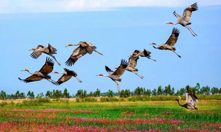 Chiêm ngưỡng tuyệt phẩm về thiên nhiên Việt Nam