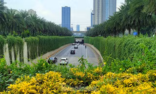 Khuyến khích sử dụng phương tiện giao thông xanh