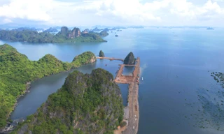 Thông tin mới về vụ lấp vùng đệm Vịnh Hạ Long