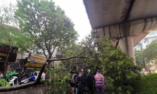 Gió giật cấp 10 có thể 'càn quét' Hà Nội do siêu bão YAGI