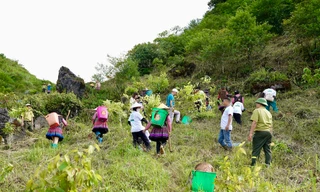 Kêu gọi cộng đồng ra quân làm sạch môi trường