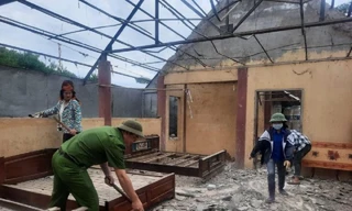 Dùng AI truy tìm nguyên nhân động đất kích thích tại Việt Nam