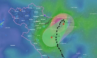 Bão số 5 suy yếu thành áp thấp nhiệt đới trên vịnh Bắc Bộ