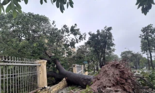 Sau bão, 114 trường học ở Hà Nội chưa mở lại, có nơi tính phương án dạy trực tuyến