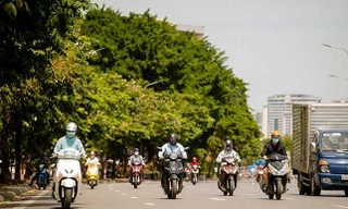 Miền Bắc sắp hửng nắng, nền nhiệt tăng