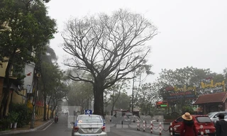 Miền Bắc âm u, sương mù đến bao giờ?