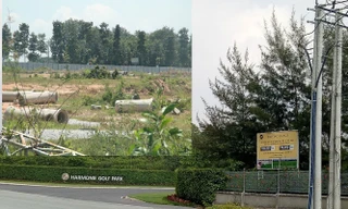 Chuyển nhượng gần 200 ha đất công ở Bình Dương: Cần truy cứu người vi phạm?