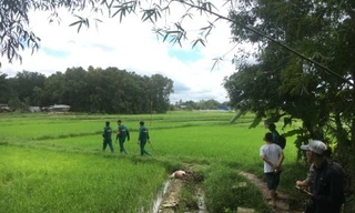 Phát hiện thi thể người phụ nữ lõa thể trên ruộng lúa