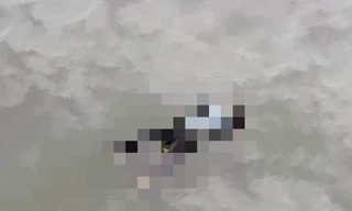 Kinh hãi phát hiện thi thể nữ giới trôi trên kênh ở Bình Dương