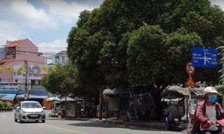 Trạm ép rác trên đất công viên gây bức xúc ở Bình Dương bị ngừng xây dựng