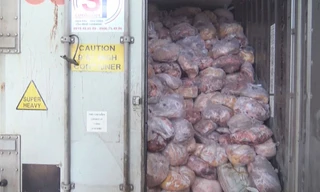 Phát hiện hàng chục tấn thịt heo thối trên 3 thùng container