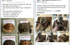 Khóa các tài khoản facebook chia sẻ hình ảnh động vật 