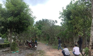 Kinh hãi phát hiện người đàn ông treo cổ bên bờ sông Sài Gòn