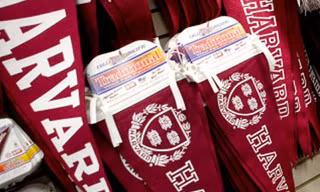Chê sinh viên Harvard kiêu ngạo, nam sinh học trường thường
