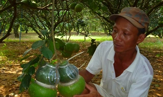 Quà Tết thời khốn khó