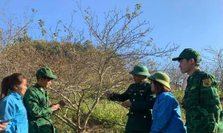 Bộ đội hướng dẫn bà con trồng hoa quả trên đất dốc để thoát nghèo