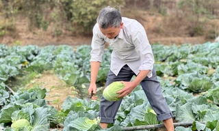 Vươn lên làm giàu trên vùng đất khắc nghiệt bằng sự cần cù và linh hoạt