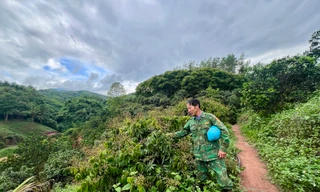 Người mở lối chuyên canh cây ăn quả ở vùng biên, nâng thu nhập cho nông dân