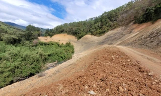 Vì sao rừng tự nhiên Đắk Lắk giảm hơn 11.600 ha?