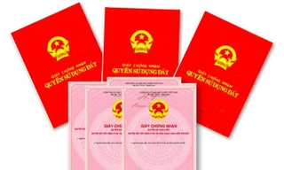 Ảnh minh họa. Nguồn: Internet