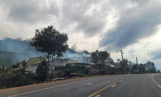 Xả khói bụi ô nhiễm môi trường, nhiều lò sấy cà phê bị xử phạt