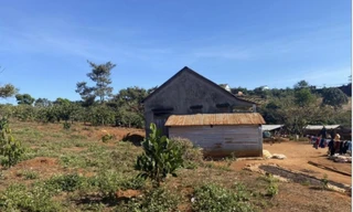 Cấp đất cho nguyên Thường vụ Tỉnh ủy Đắk Nông trái quy định