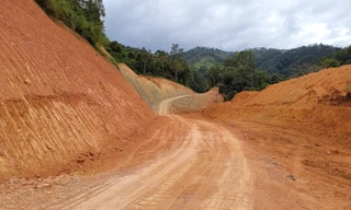 Cận cảnh hiện trường hủy hoại rừng đặc dụng làm đường Trường Sơn Đông