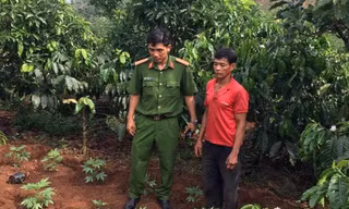 Hiện trường vụ công an phát hiện gia đình ông Năm trồng trái phép hàng trăm cây cần sa