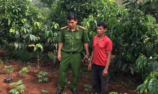 Hiện trường vụ công an phát hiện gia đình ông Năm trồng trái phép hàng trăm cây cần sa